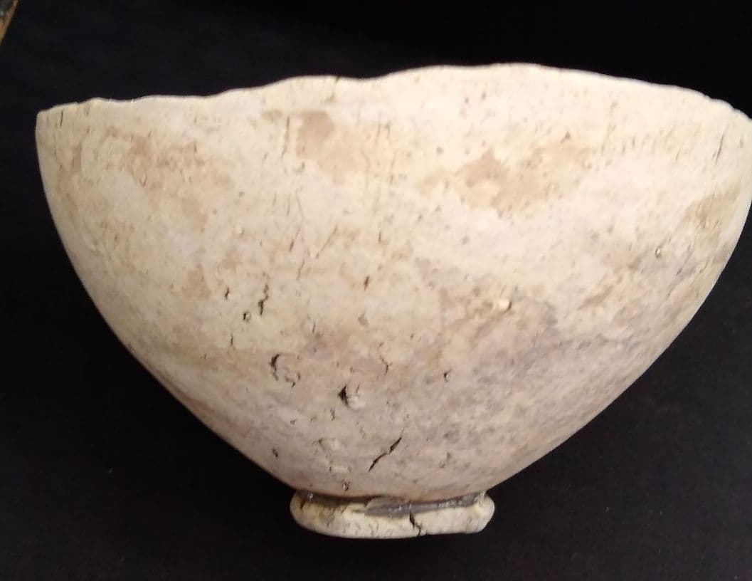 泉田之也　湯呑2点セット