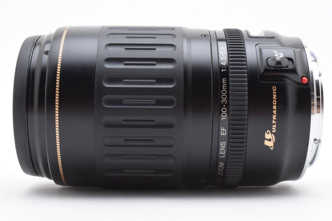 一眼レフカメラCANON EF 100-300mm F4.5-5.6 USM