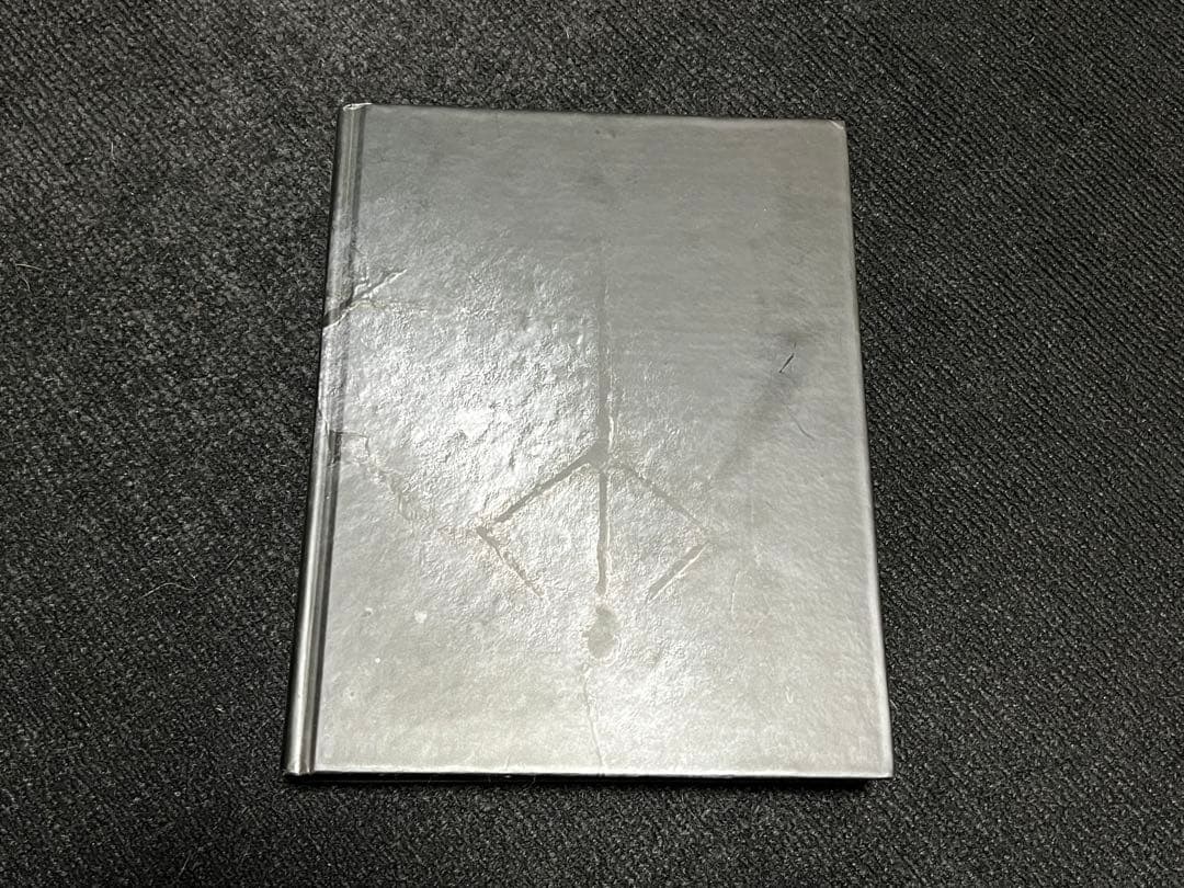 ま*】様 【最終価格】Bloodborne Complete Guide Boo