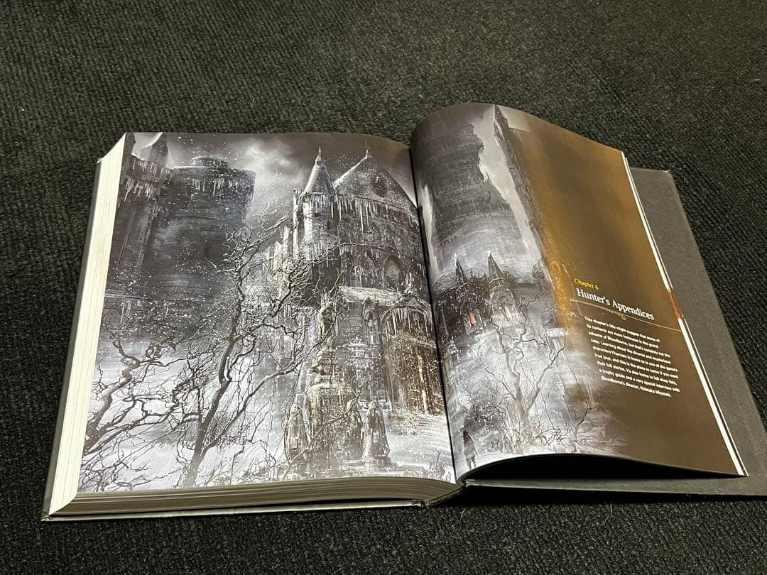 ま*】様 【最終価格】Bloodborne Complete Guide Boo