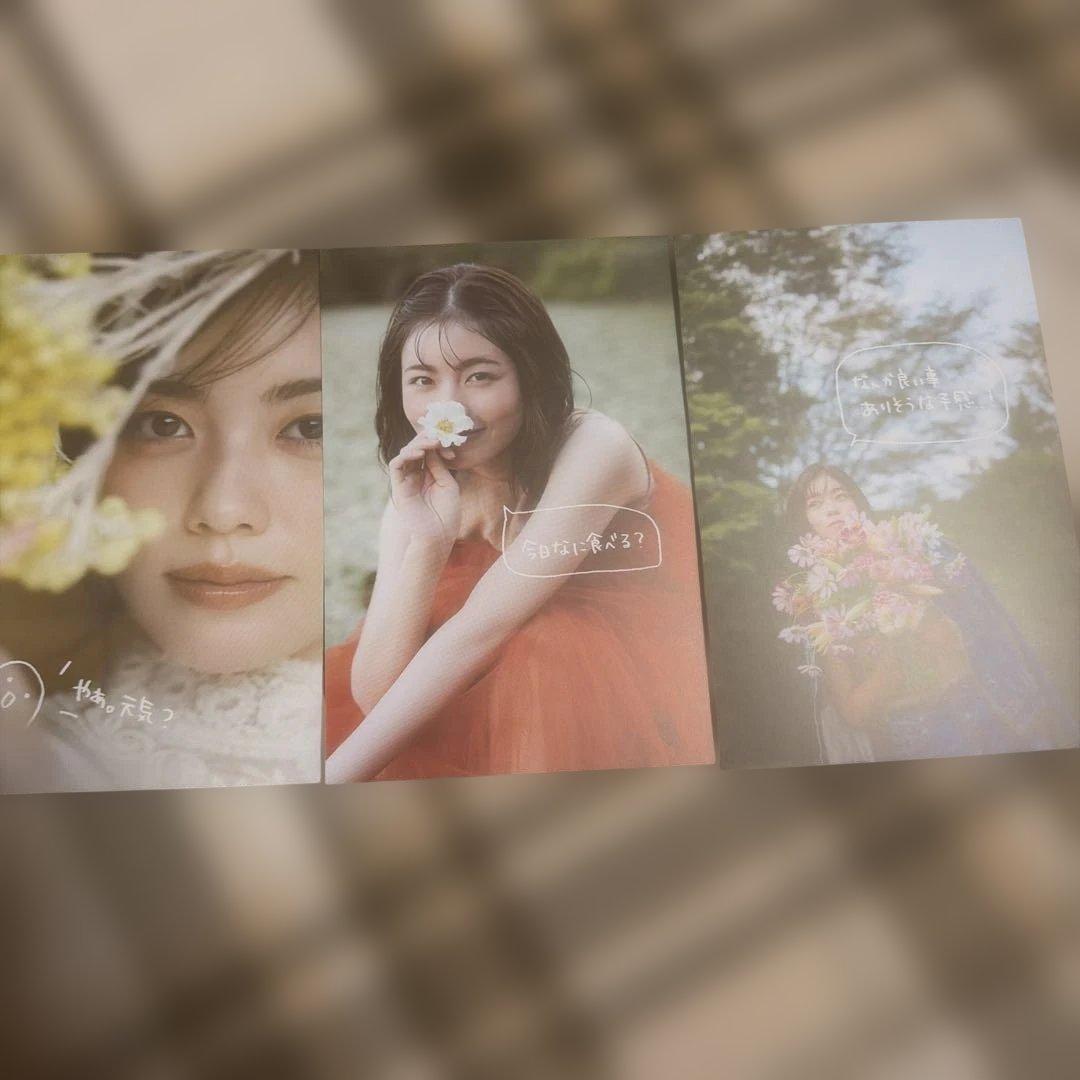 小芝風花 直筆サインチェキ 2026 カレンダー 3冊セット 未開封品