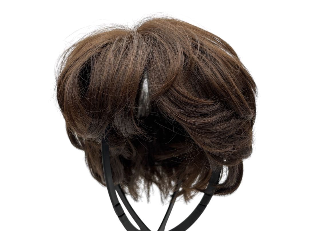 NAO-ART ウィッグ　人毛ミックス　定価14万円