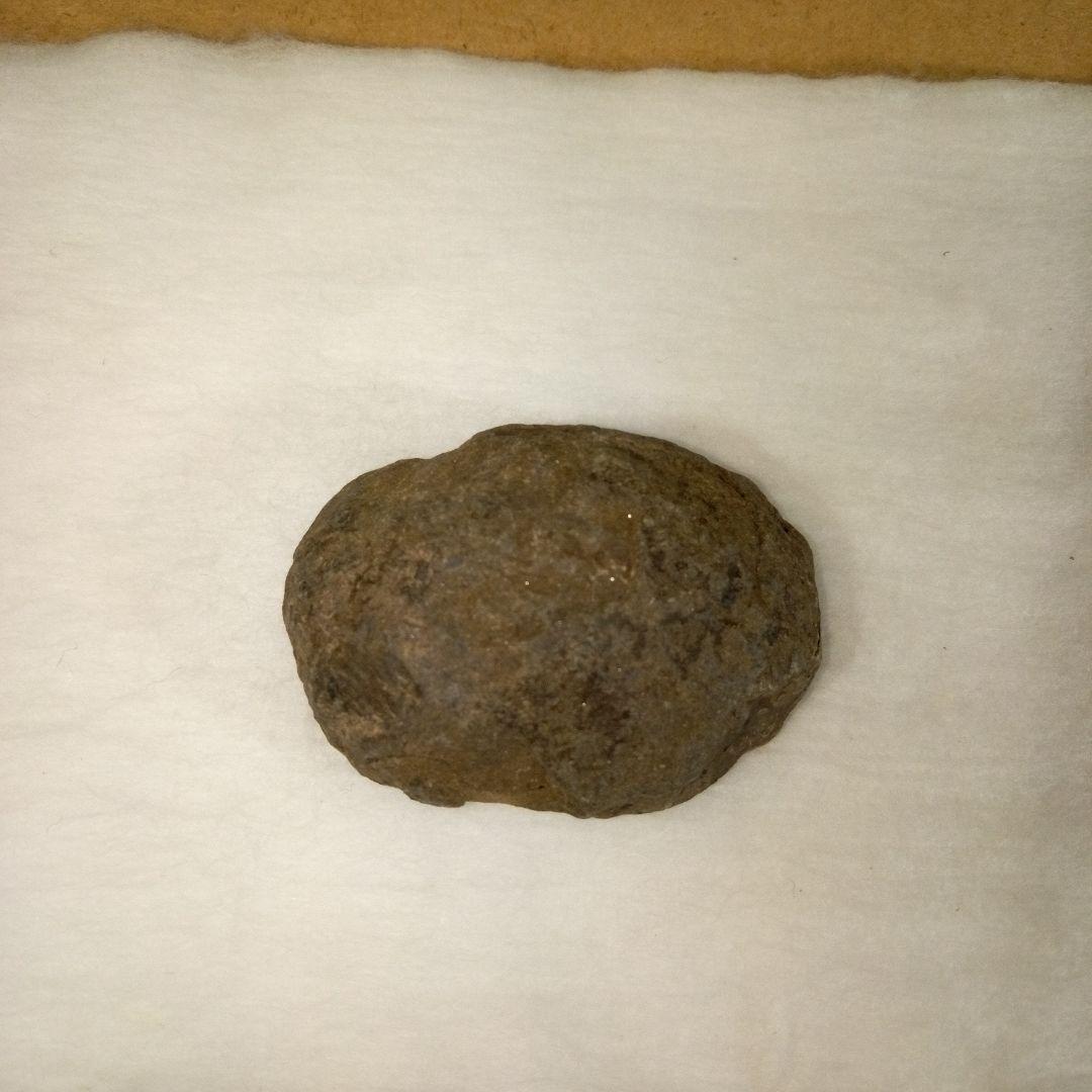 三葉虫　化石　三葉虫化石　究極のレトロ　fossil　ボリビア産　化石管理番号⑫