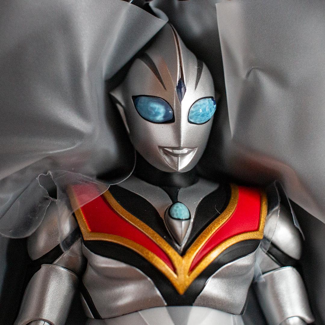 わ*び様 S.H. フィギュアーツ 真骨彫製法　イーヴィルティガ