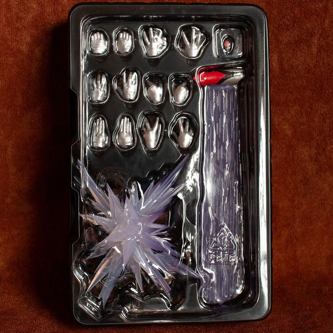 わ*び様 S.H. フィギュアーツ 真骨彫製法　イーヴィルティガ