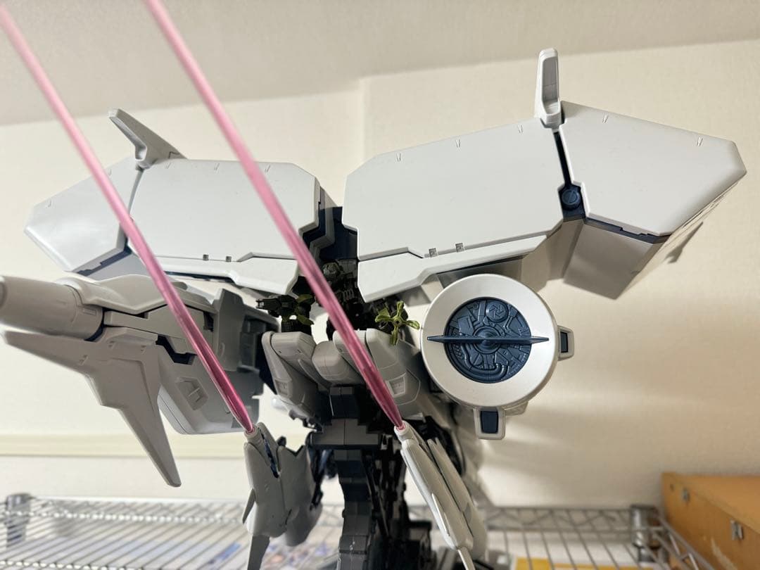 HGUC デンドロビウム