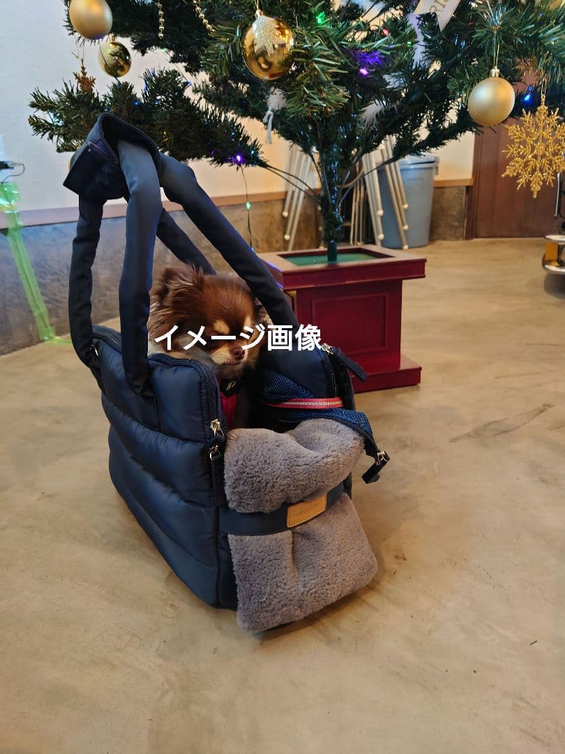 AMYLOVESPET　キャリーバッグセット