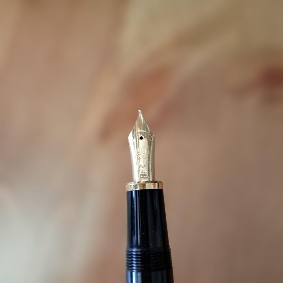 万年筆 黒 ゴールドクリップ インクカートリッジ付き