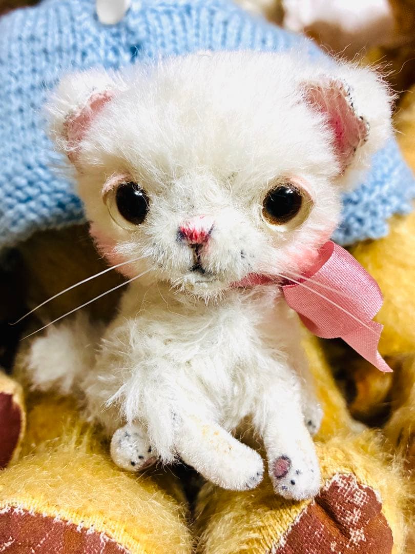 haco deco様 白い子猫 ぬいぐるみ