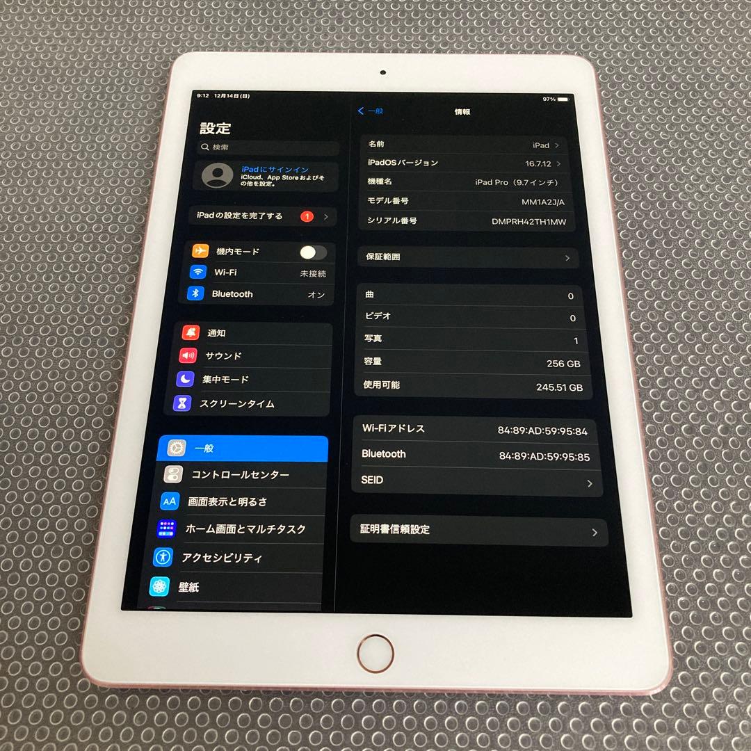 3763【早い者勝ち】電池最良好☆iPad Pro 256GB 9.7インチ☆