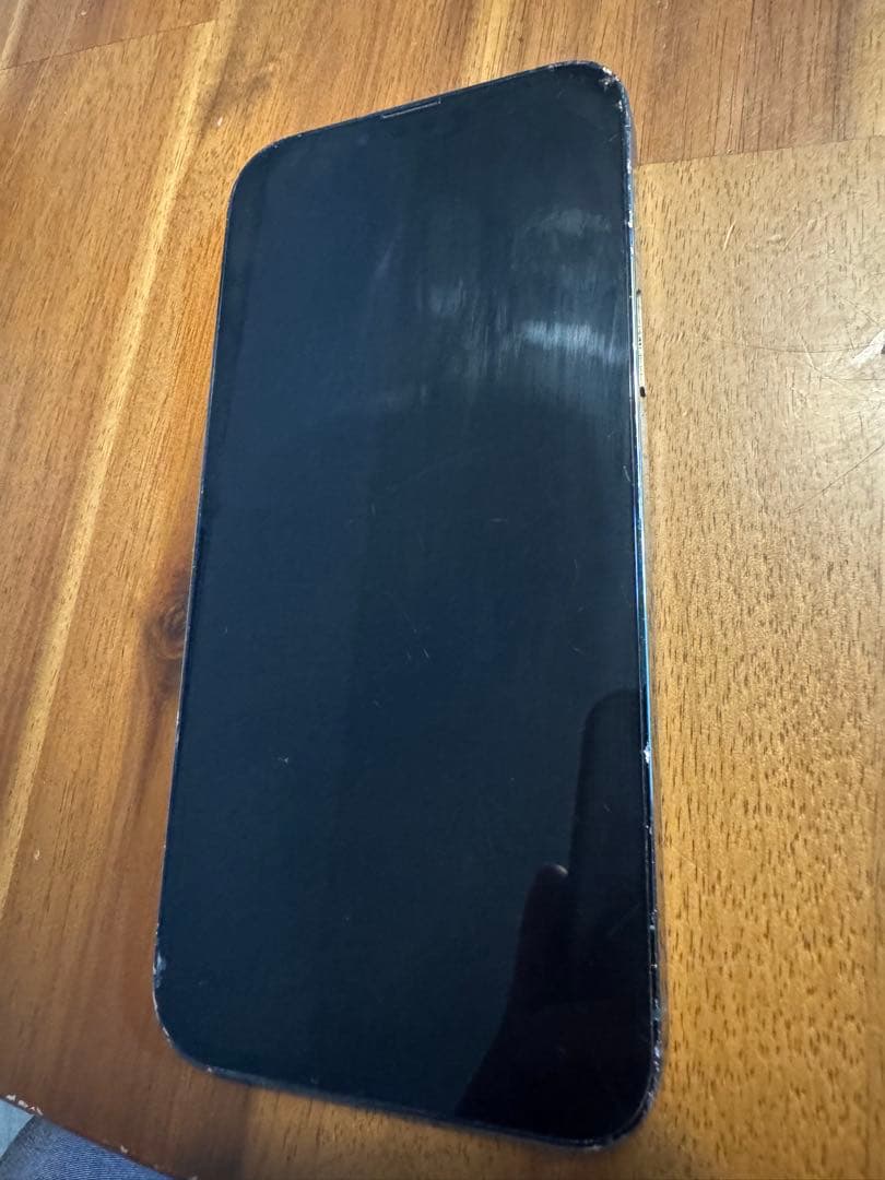 【ジャンク品】iPhone 13 Pro Max｜256GB｜SIMフリー版