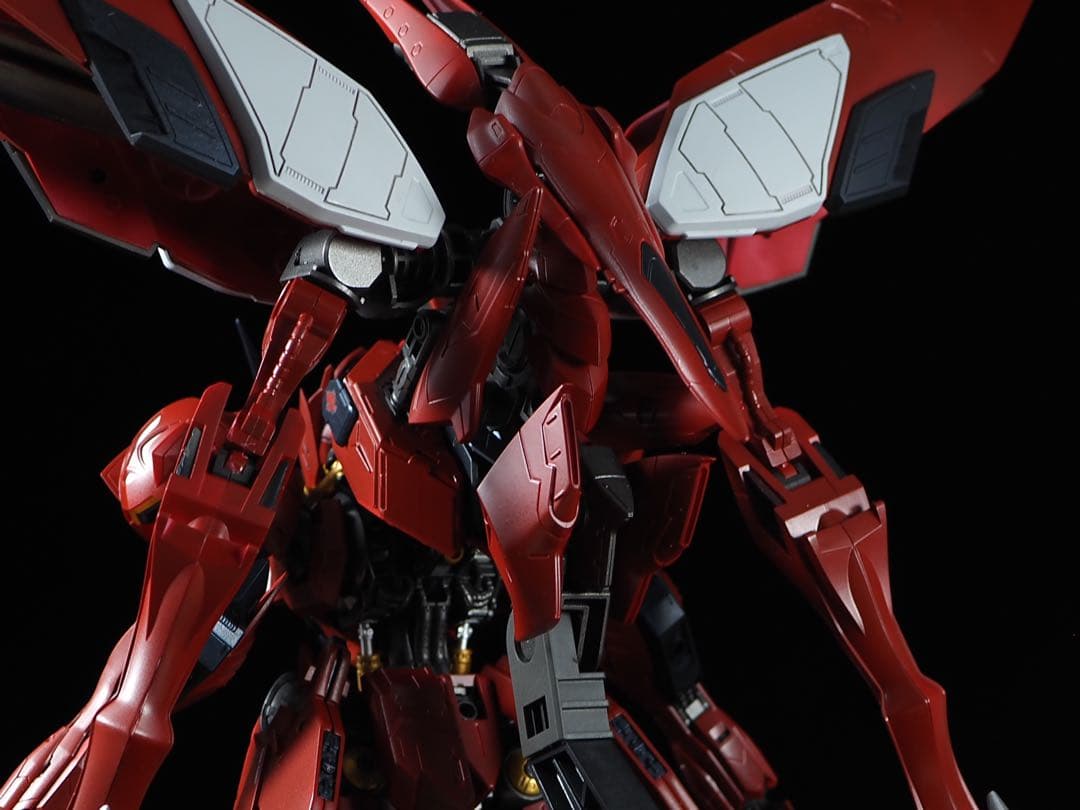 ハク品　ルプス