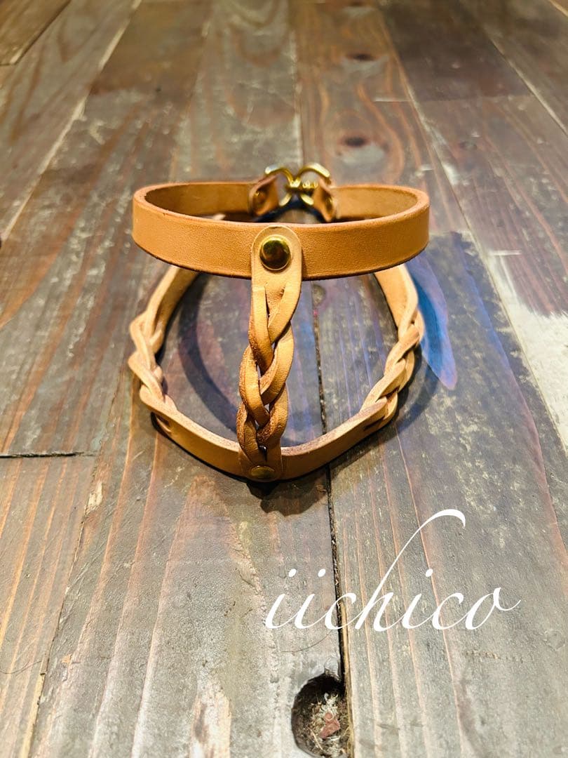 リード＆ハーネス2点SET❗️レッドミニタリー