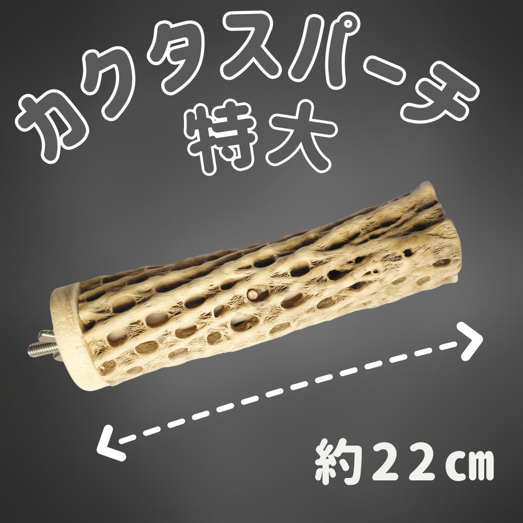 R　止まり木　カクタス　スケルトン　パーチおまとめ5本