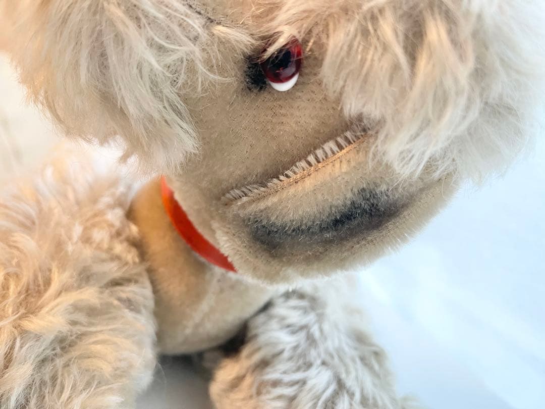 なんとも言えない表情のわんちゃん　シュタイフ　スノビー　プードル　36cm