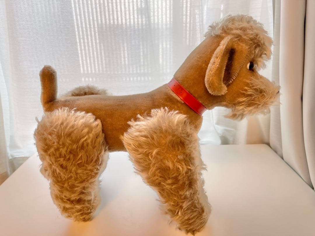 なんとも言えない表情のわんちゃん　シュタイフ　スノビー　プードル　36cm