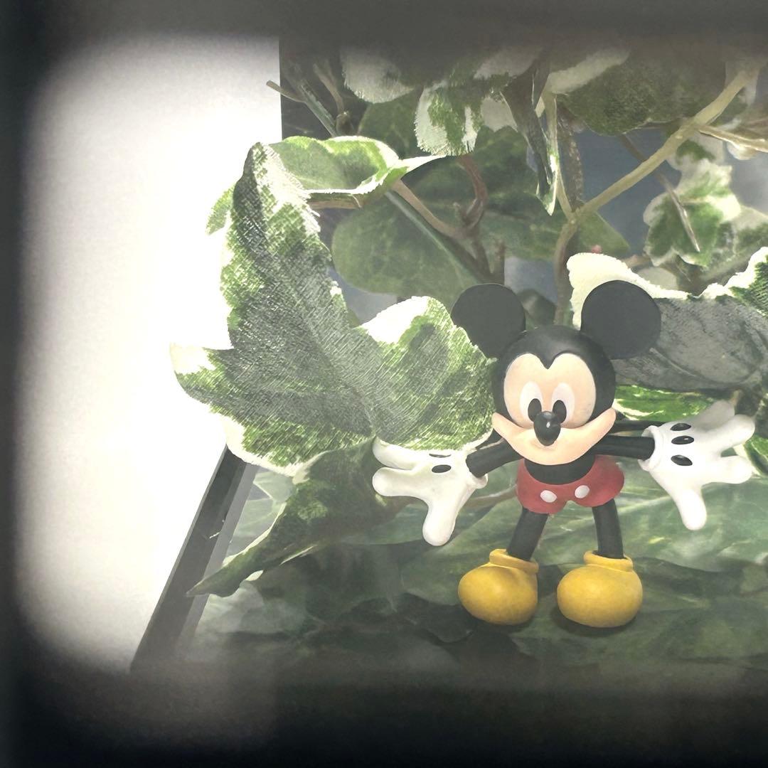 Rollei 35 ローライ35 ドイツ製 フィルムカメラ 完動品