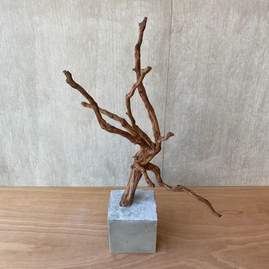 ❹【コンクリート盆栽 流木オブジェ】アクセサリー インテリア アート 爬虫類