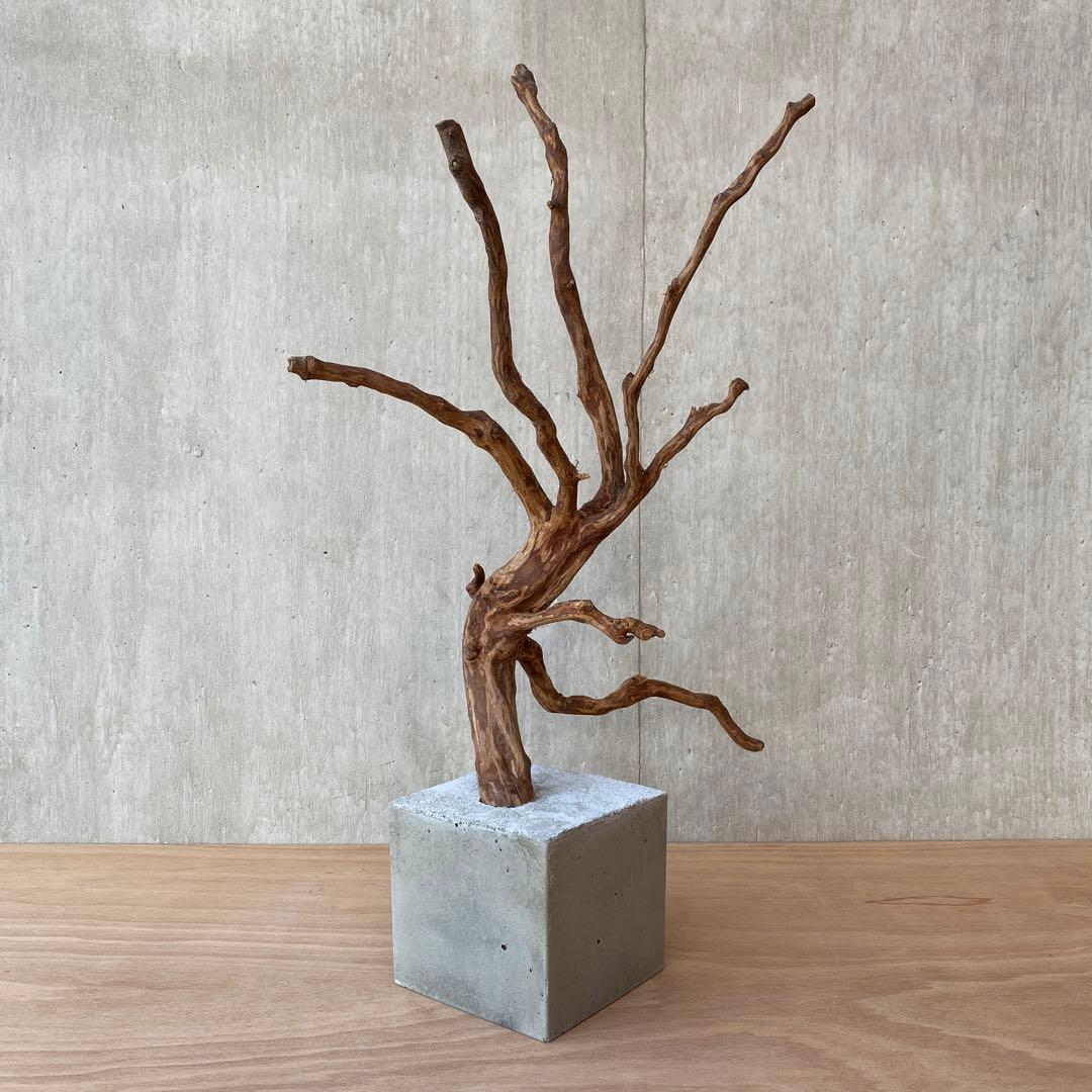 ❹【コンクリート盆栽 流木オブジェ】アクセサリー インテリア アート 爬虫類