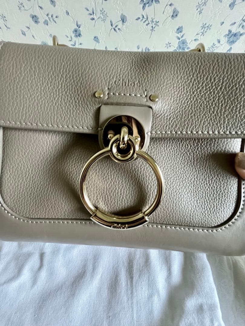＊美品＊クロエ Chloe テス ミニデイバッグ ショルダーバッグ