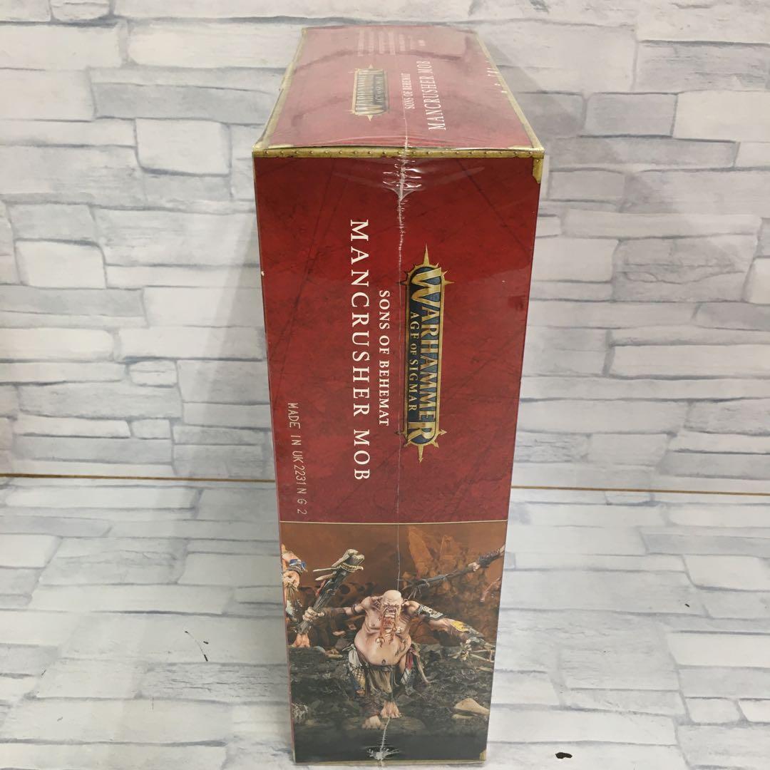 o491 マンクラッシャー・モブ