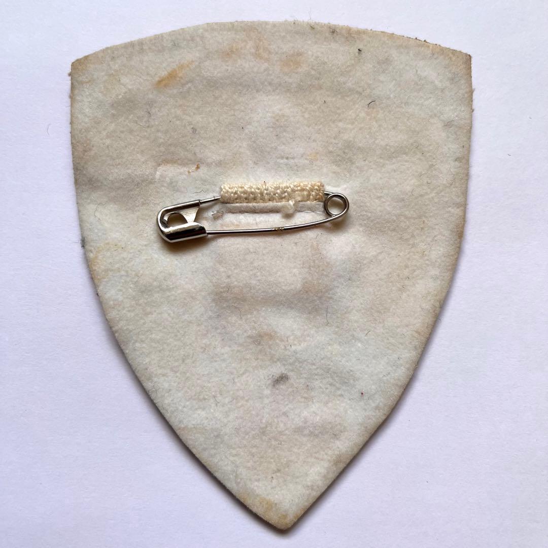 ヴィンテージ刺繍ワッペン　1973年　東日本　ウォータースキー選手権