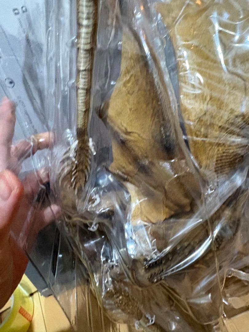 HIYA TOYS ハイヤトイズ キング・オブ・モンスターズ キングギドラ