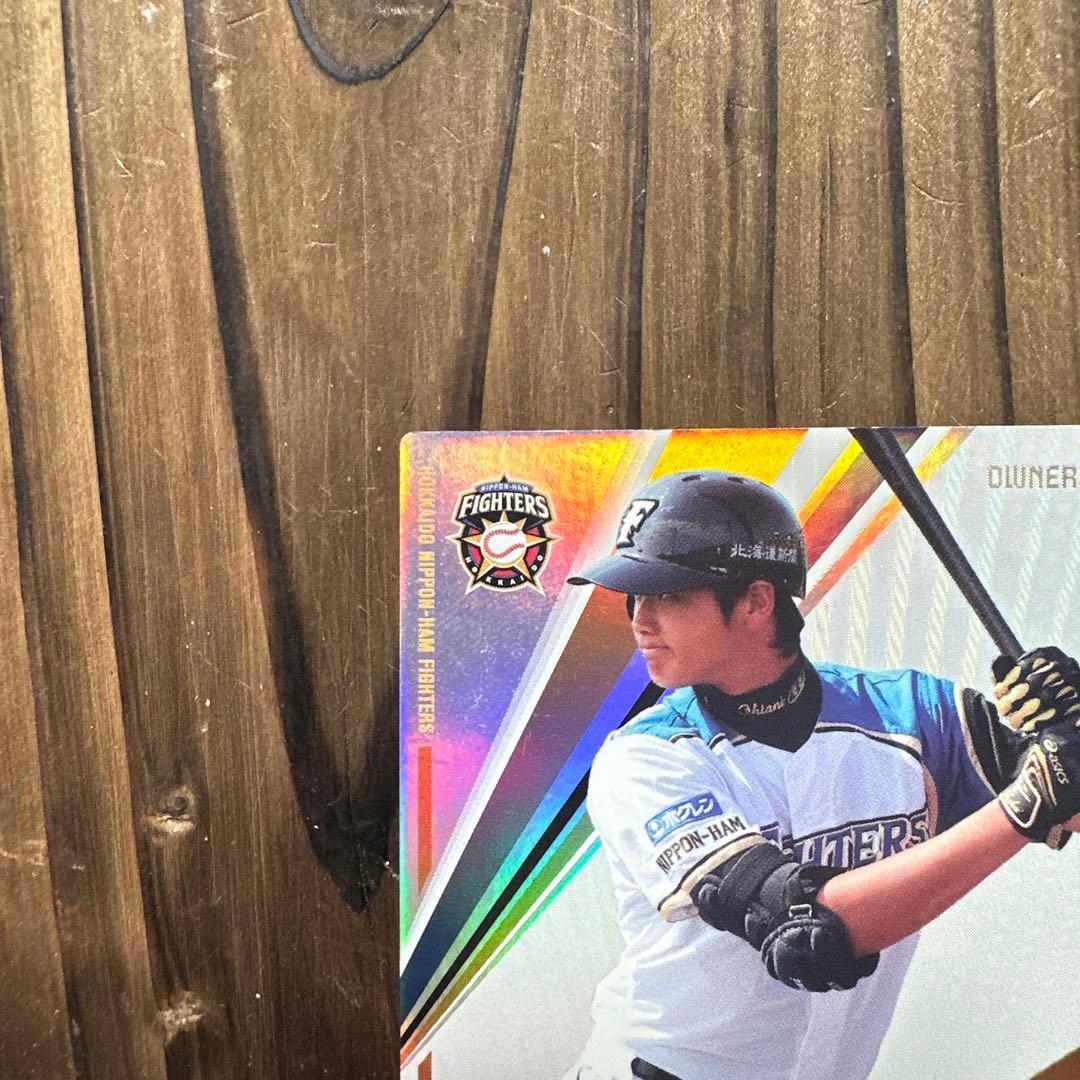 大谷翔平 オーナーズリーグ2013