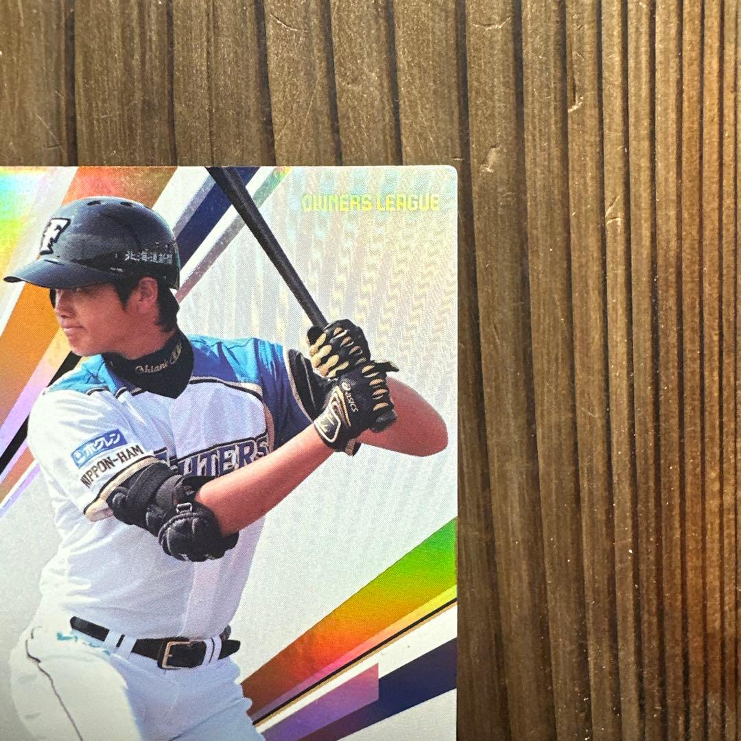 大谷翔平 オーナーズリーグ2013