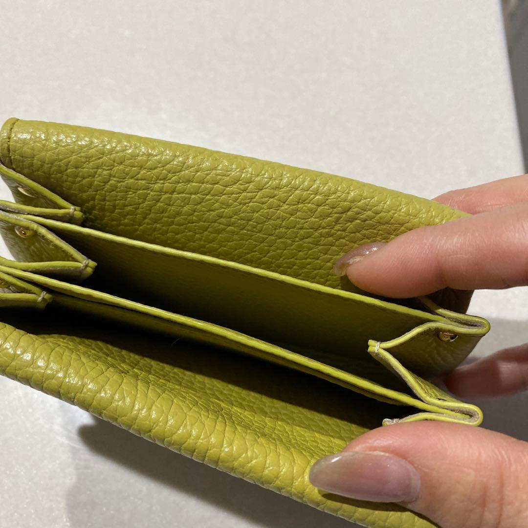 IACUCCIアバ ウォレット CERVO