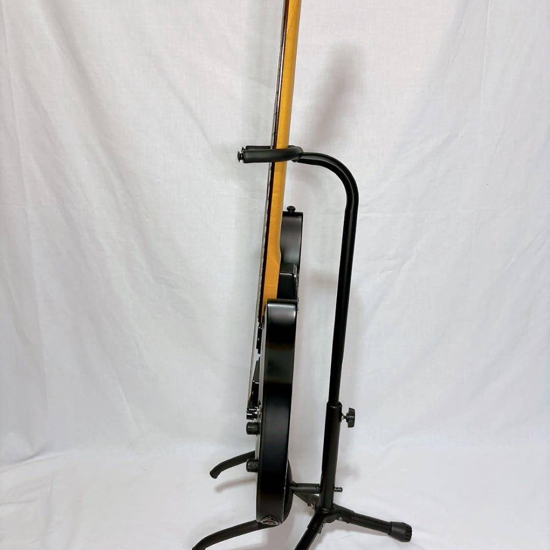 【美品】Schecter Diamond Series DAMIEN-6