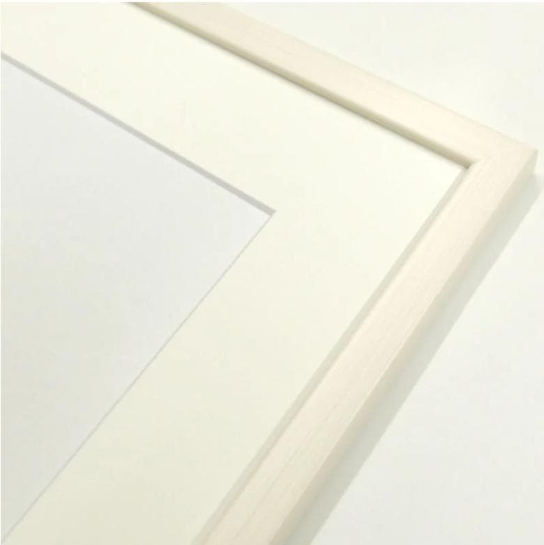 透明水彩画　原画　「コスモスの川辺」額縁付き　F4サイズ　風景画