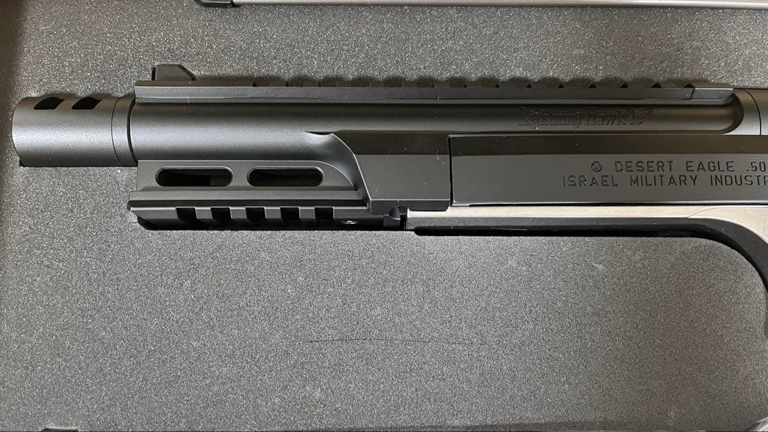 バイオハザード Re:2 ライトニングホーク