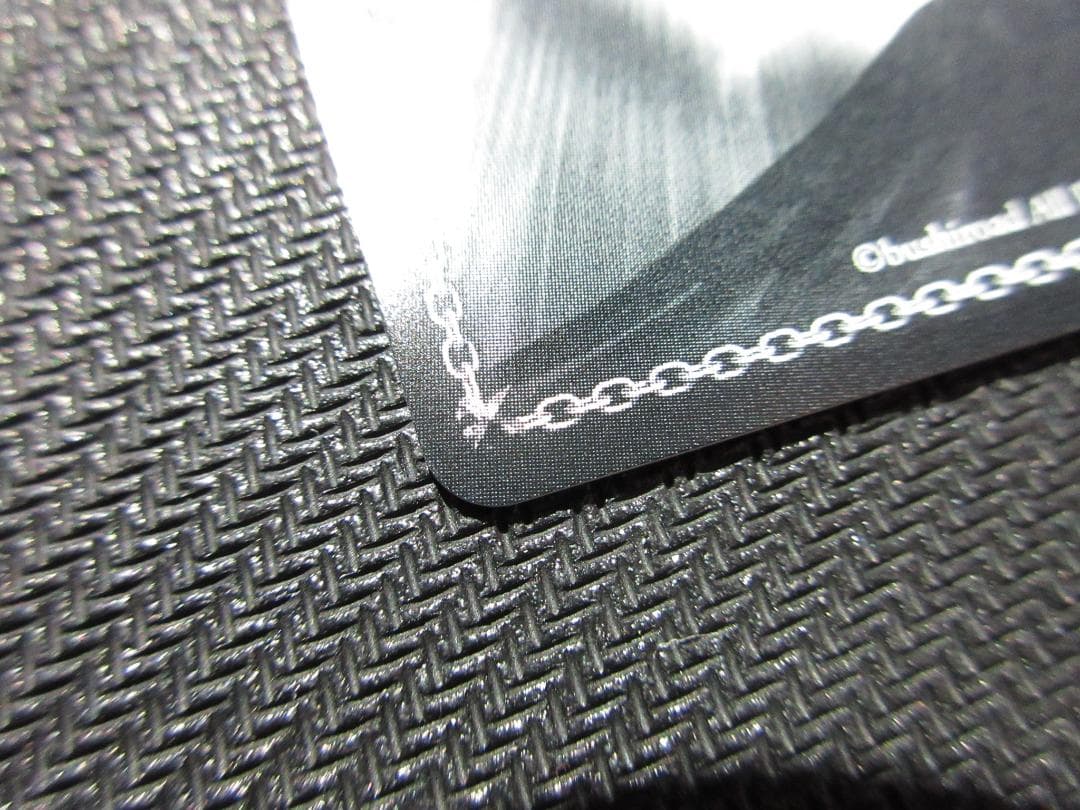 WS SSP HOL/W91-035SSP 未来へ一緒に 白上フブキ(サイン)