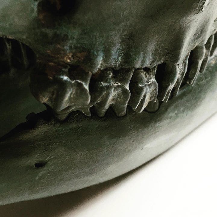 鹿頭蓋骨　頭骨　ブロンズ加工