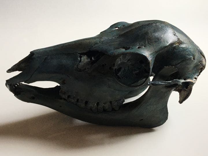 鹿頭蓋骨　頭骨　ブロンズ加工