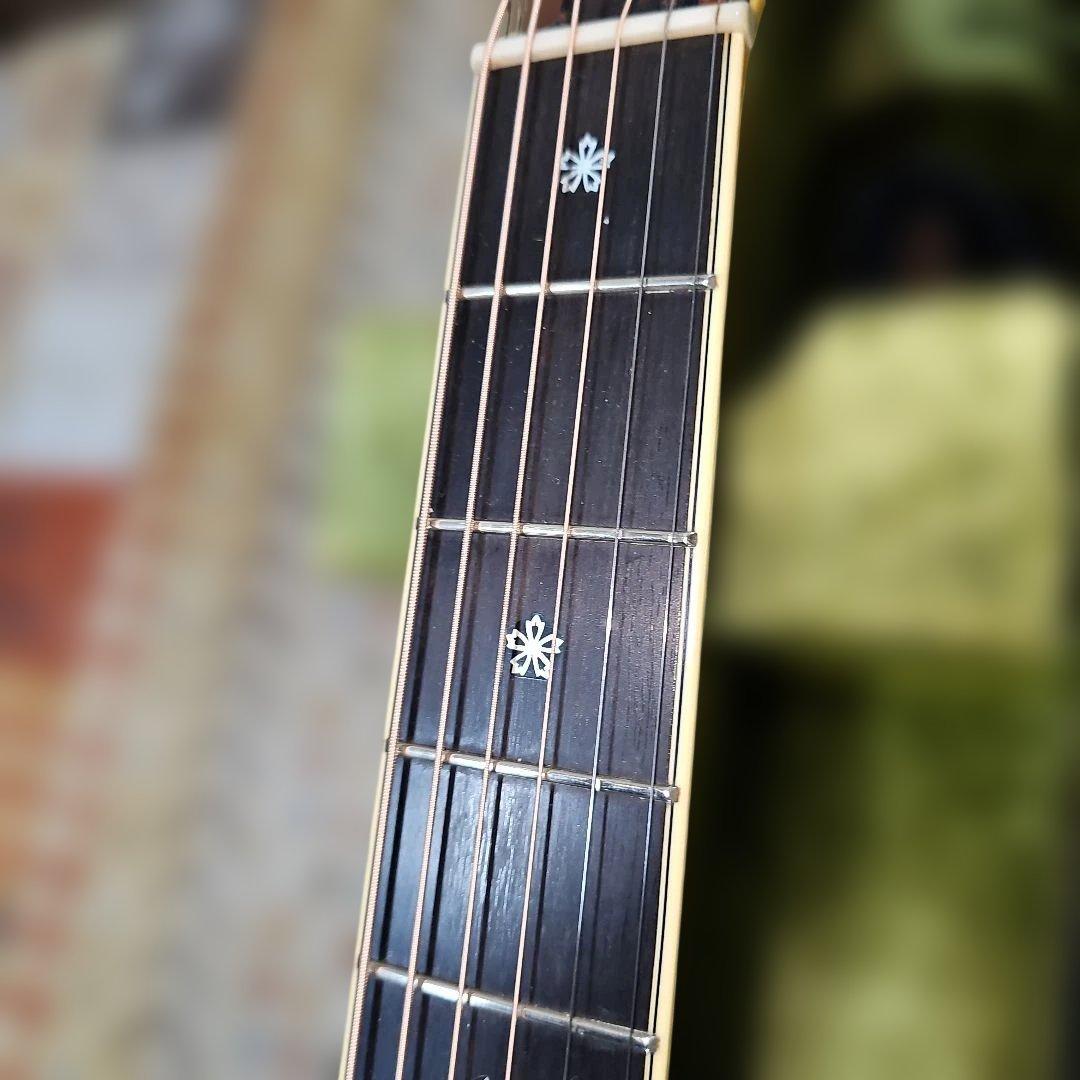 YAMAHA.LL33Jオール単板 ハードケース付き。