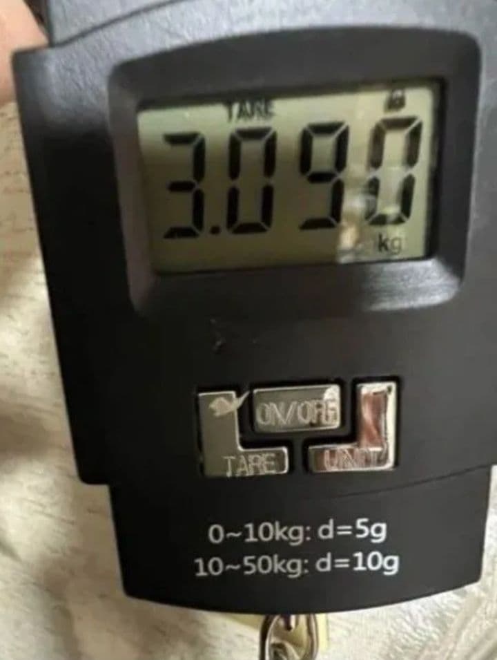 エピフォン ＊ Ｇ−４００CUSTOM 3PUタイプ・ブラック