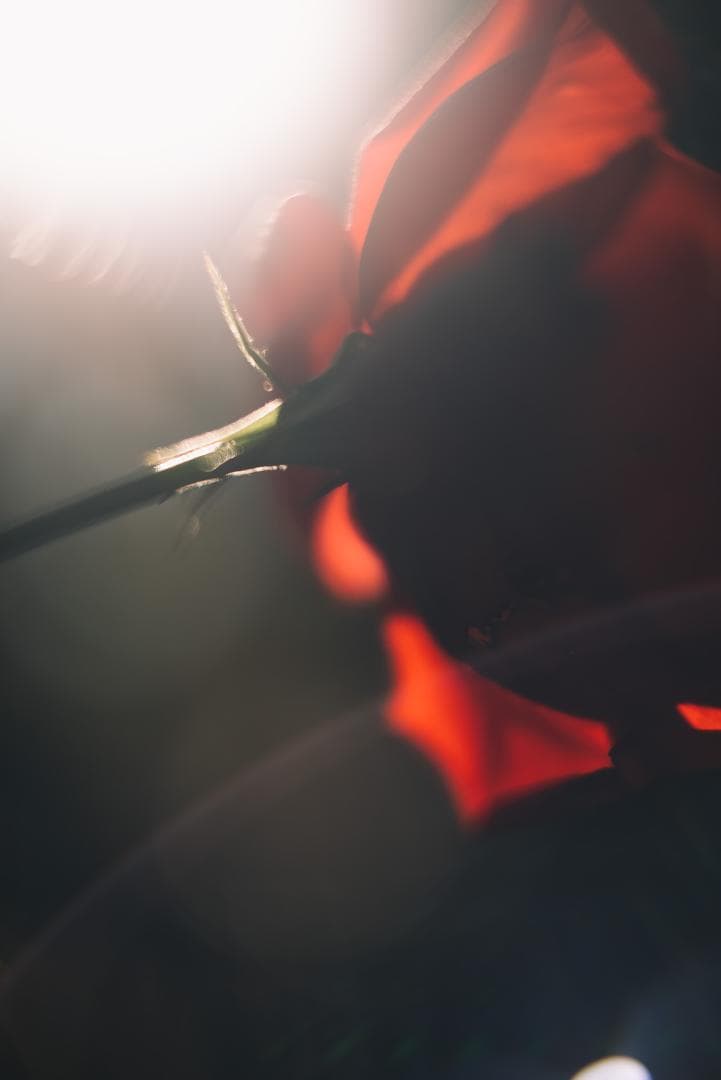 山崎磨き！Leica Summarit 50mm f1.5 オールドレンズ