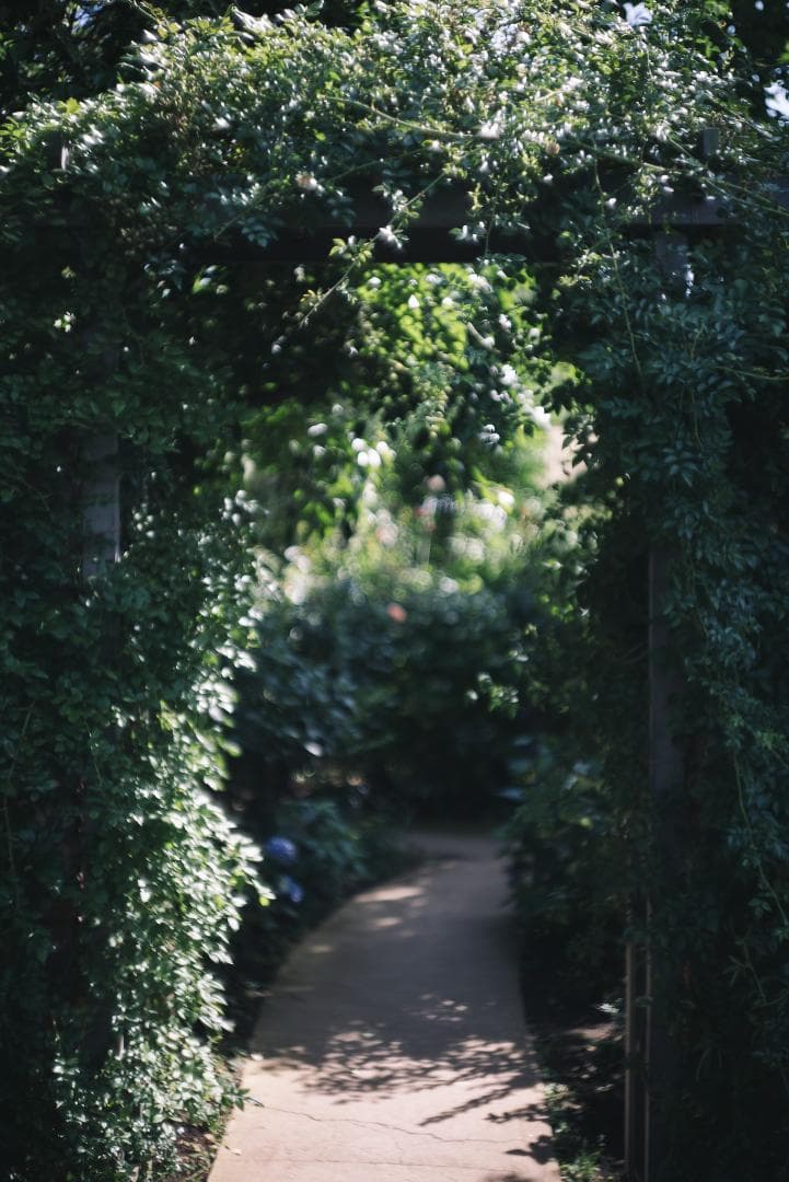 山崎磨き！Leica Summarit 50mm f1.5 オールドレンズ