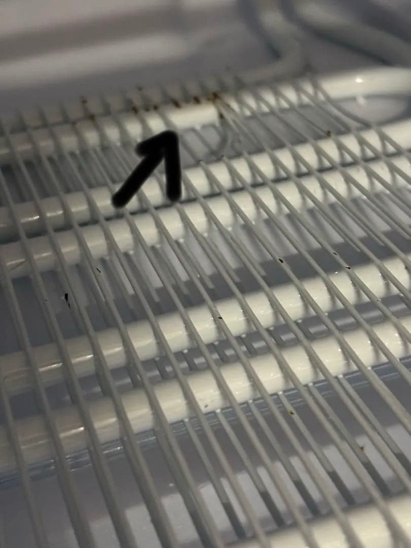 2021年製 アイリスオーヤマ ノンフロン冷凍庫 85L IUSD-9B-B