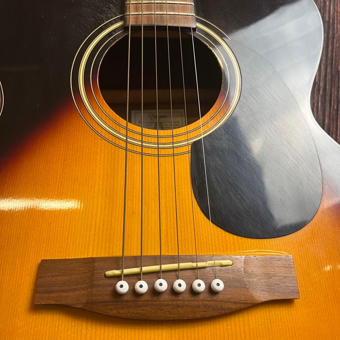 タカミネ アコースティックギター T−F0TBS ソフトケース付き アコギ