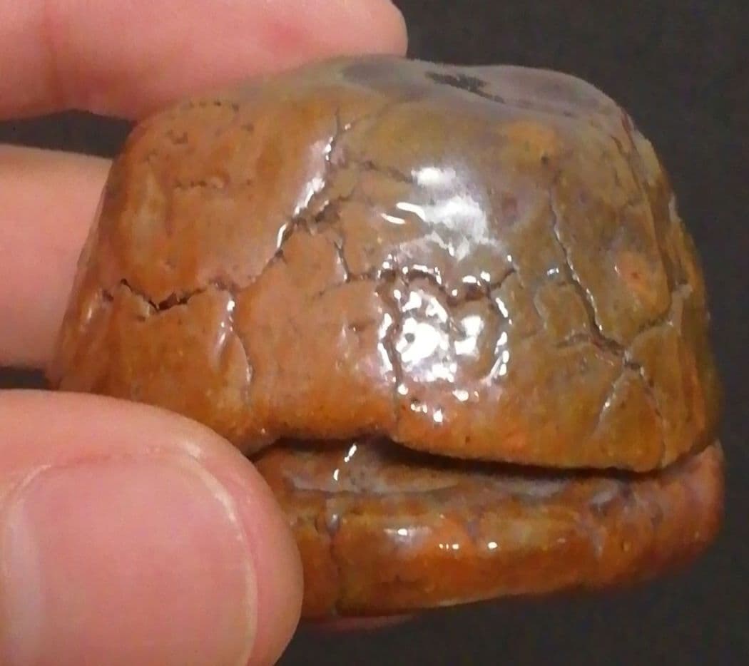 覚々斎？書付　楽焼　梅　香合　共箱　茶道具