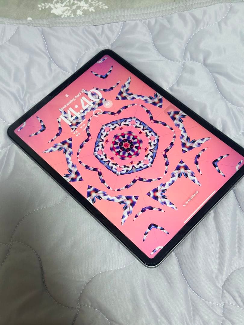 新品同様 iPad Pro 11インチ第4世代256GB iPadpro11