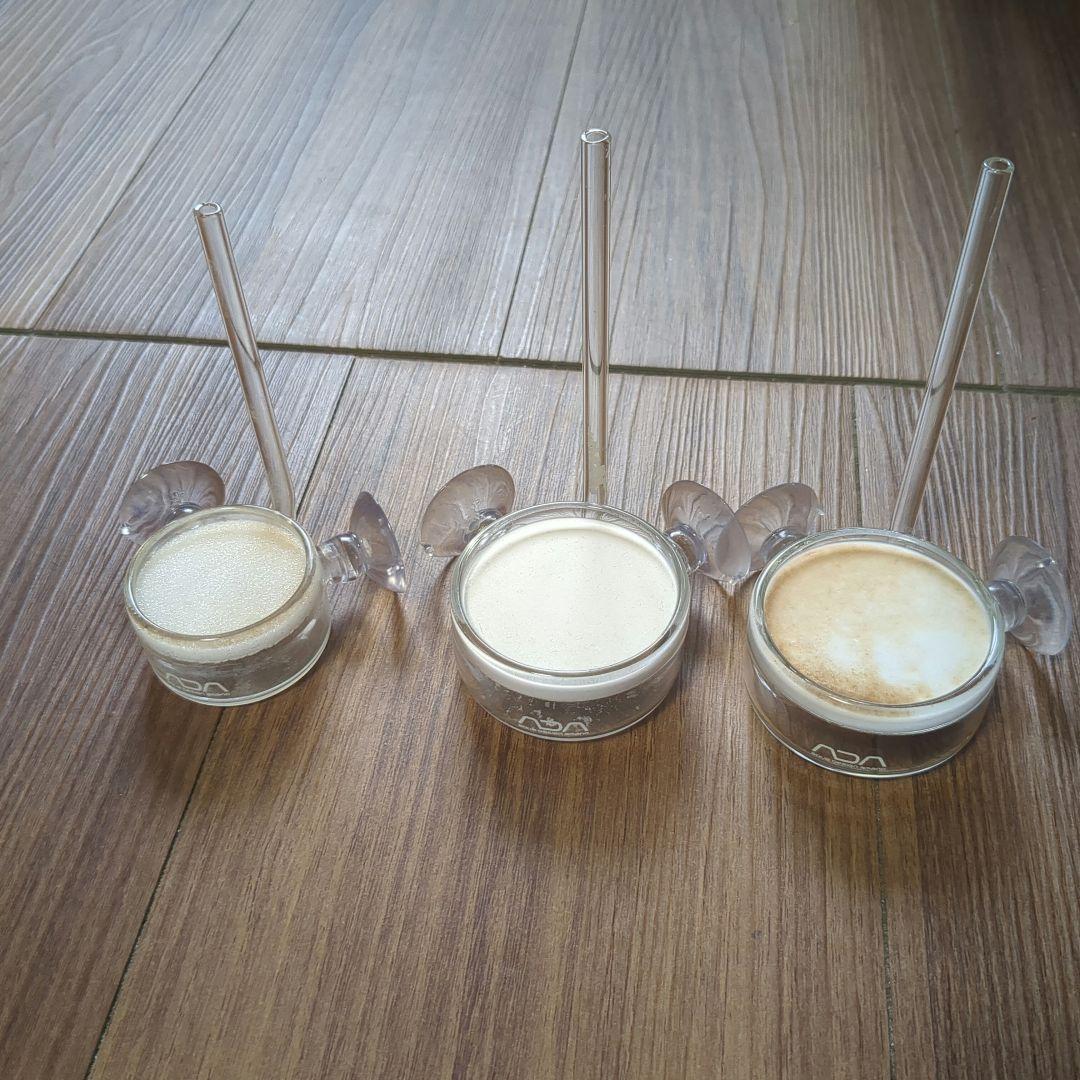 ADA パレングラスビートル　Pollen Glass Beetle