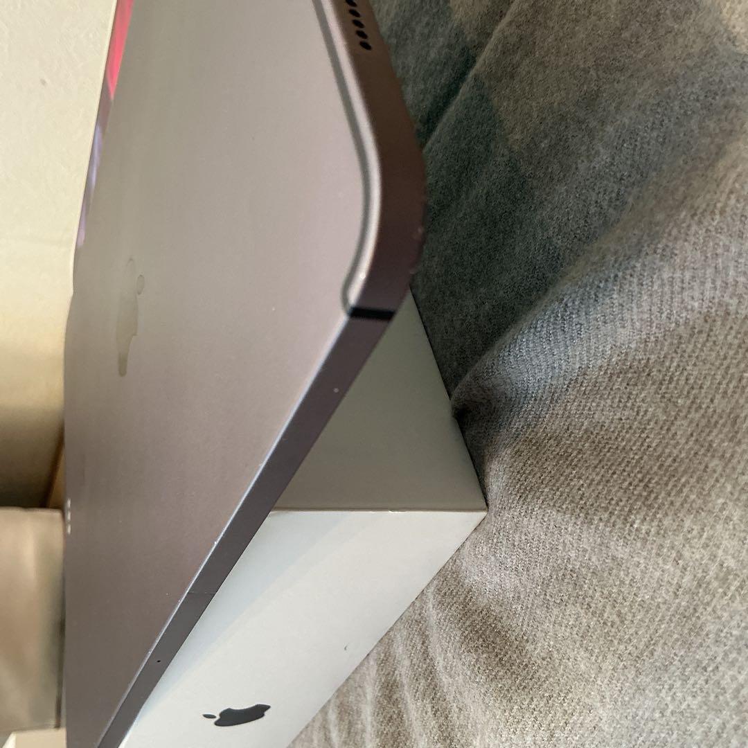 iPad Pro 11inch Wi-Fi+cellular 128GB おまけ