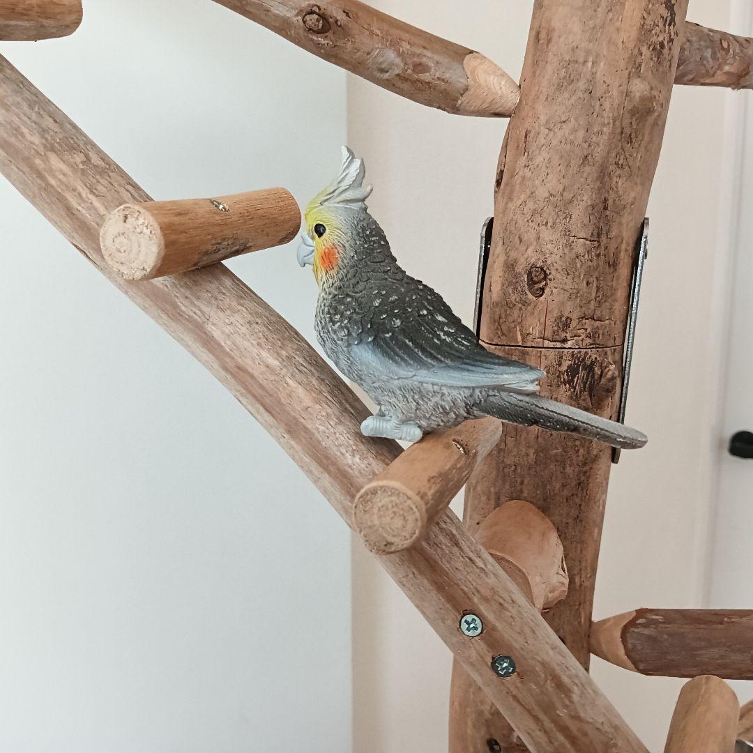 な バードアスレチックジム大型 天然木 自然木 流木 インコ おもちゃ