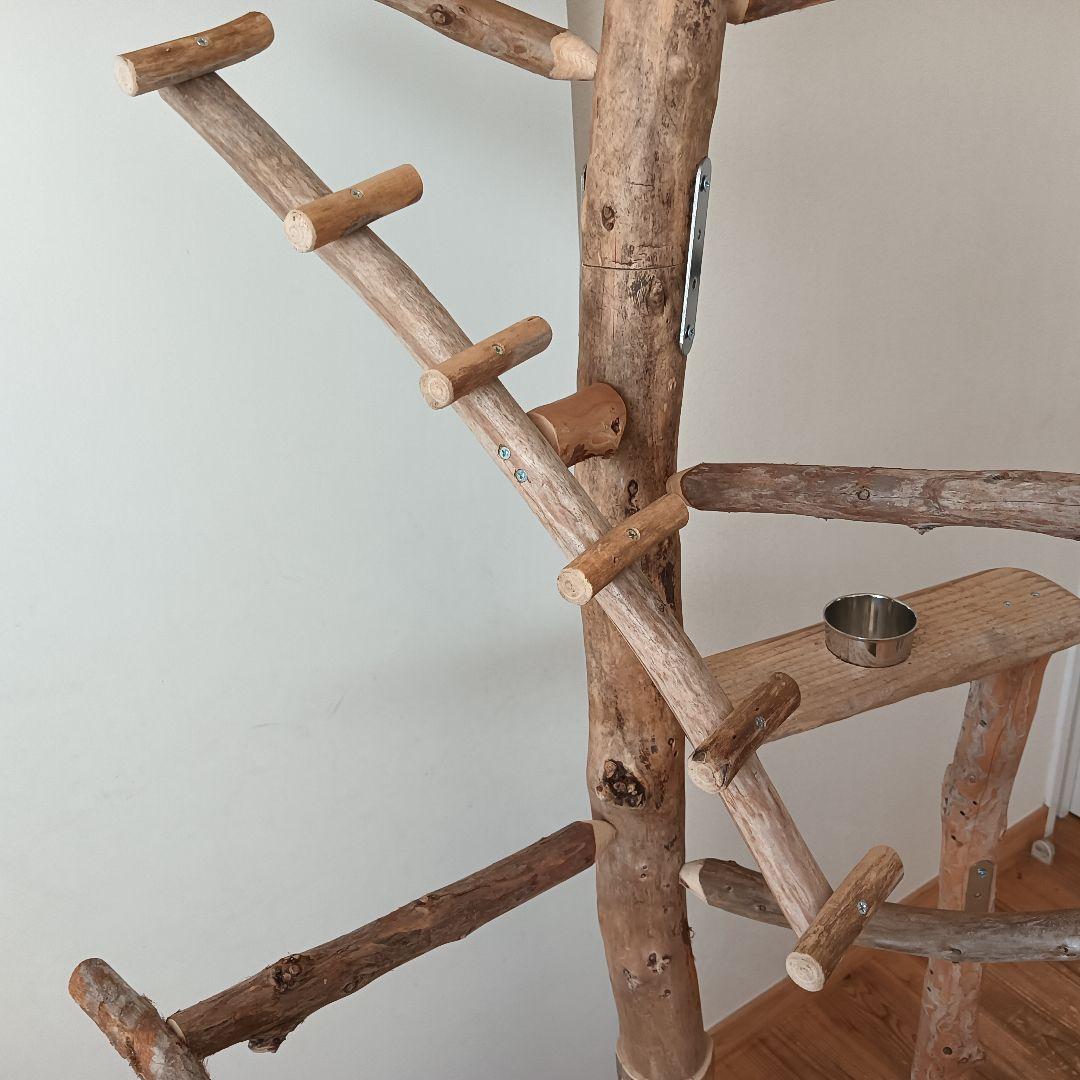 な バードアスレチックジム大型 天然木 自然木 流木 インコ おもちゃ