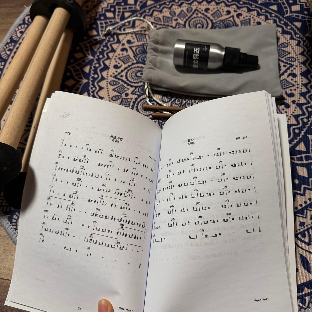 ハンドパン 10音 Dマイナー 約56cm ステンレス製 ケース・スタンド付