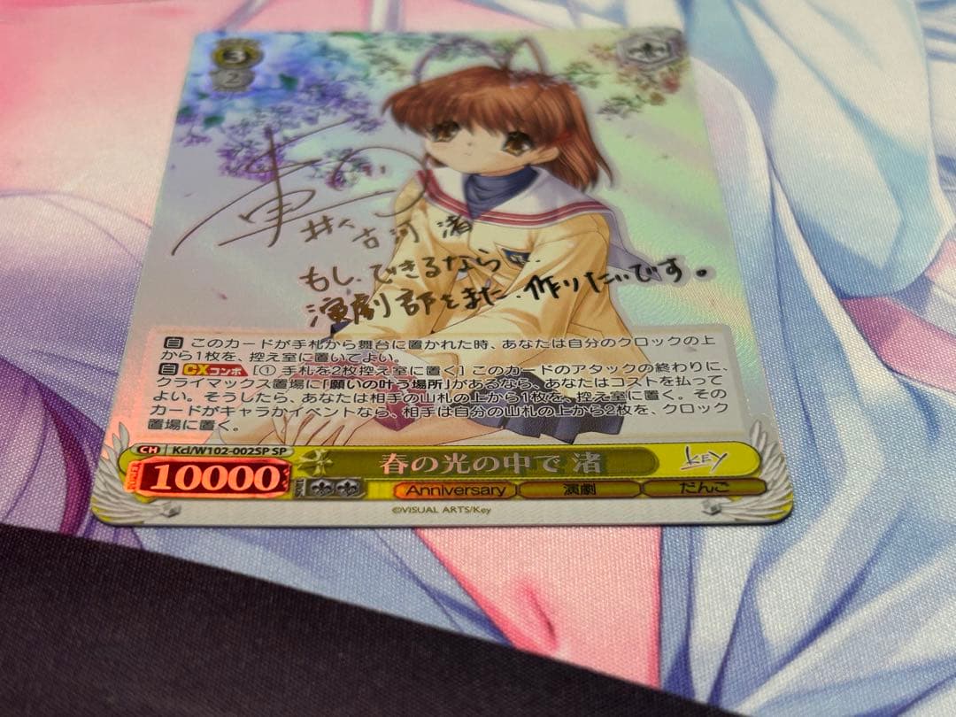 ヴァイス 春の光の中で 渚 SP